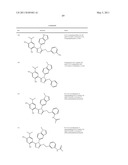 TRIAZOLE COMPOUNDS THAT MODULATE HSP90 ACTIVITY diagram and image