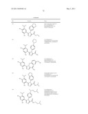 TRIAZOLE COMPOUNDS THAT MODULATE HSP90 ACTIVITY diagram and image