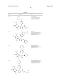 TRIAZOLE COMPOUNDS THAT MODULATE HSP90 ACTIVITY diagram and image