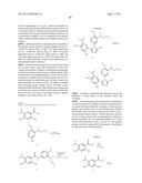 TRIAZOLE COMPOUNDS THAT MODULATE HSP90 ACTIVITY diagram and image