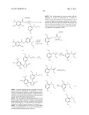 TRIAZOLE COMPOUNDS THAT MODULATE HSP90 ACTIVITY diagram and image