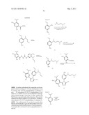 TRIAZOLE COMPOUNDS THAT MODULATE HSP90 ACTIVITY diagram and image