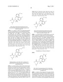 Alpha-(N-Sulfonamido)Acetamide Derivatives as Beta-Amyloid Inhibitors diagram and image