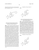 Alpha-(N-Sulfonamido)Acetamide Derivatives as Beta-Amyloid Inhibitors diagram and image