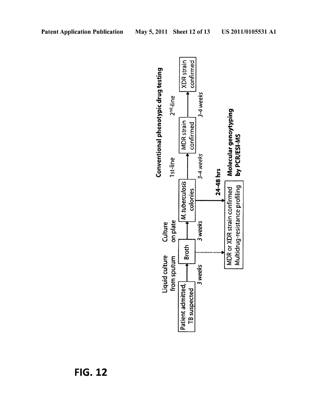 COMPOSITIONS AND METHODS FOR IDENTIFICATION OF SUBSPECIES CHARACTERISTICS OF MYCOBACTERIUM TUBERCULOSIS - diagram, schematic, and image 13