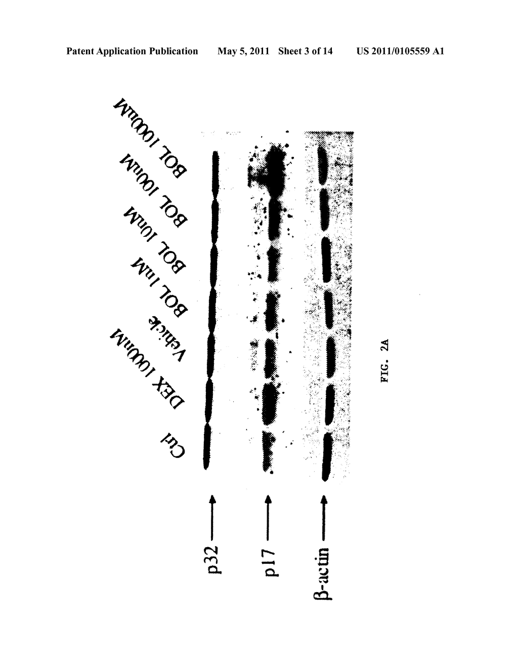 Compositions and Methods for Treating, Controlling, Reducing, Ameliorating, or Preventing Allergy - diagram, schematic, and image 04