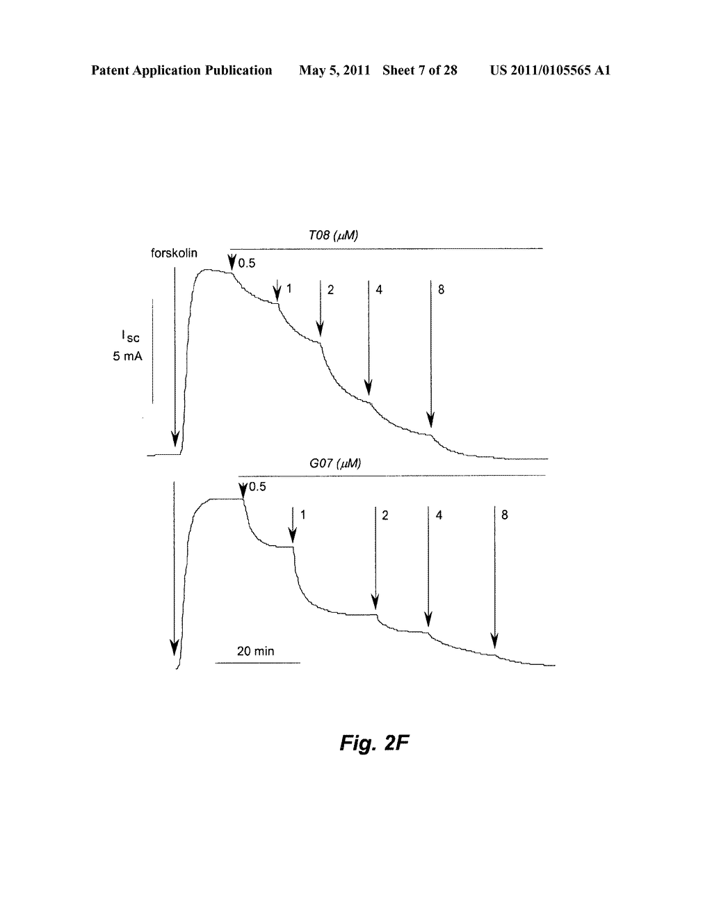 WATER SOLUBLE SMALL MOLECULE INHIBITORS OF THE CYSTIC FIBROSIS TRANSMEMBRANE CONDUCTANCE REGULATOR - diagram, schematic, and image 08