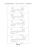 WATER SOLUBLE SMALL MOLECULE INHIBITORS OF THE CYSTIC FIBROSIS TRANSMEMBRANE CONDUCTANCE REGULATOR diagram and image