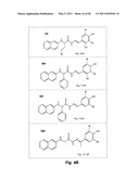 WATER SOLUBLE SMALL MOLECULE INHIBITORS OF THE CYSTIC FIBROSIS TRANSMEMBRANE CONDUCTANCE REGULATOR diagram and image