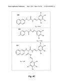 WATER SOLUBLE SMALL MOLECULE INHIBITORS OF THE CYSTIC FIBROSIS TRANSMEMBRANE CONDUCTANCE REGULATOR diagram and image