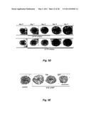 WATER SOLUBLE SMALL MOLECULE INHIBITORS OF THE CYSTIC FIBROSIS TRANSMEMBRANE CONDUCTANCE REGULATOR diagram and image