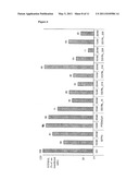 RTP80IL SIRNA COMPOUNDS AND METHODS OF USE THEREOF diagram and image