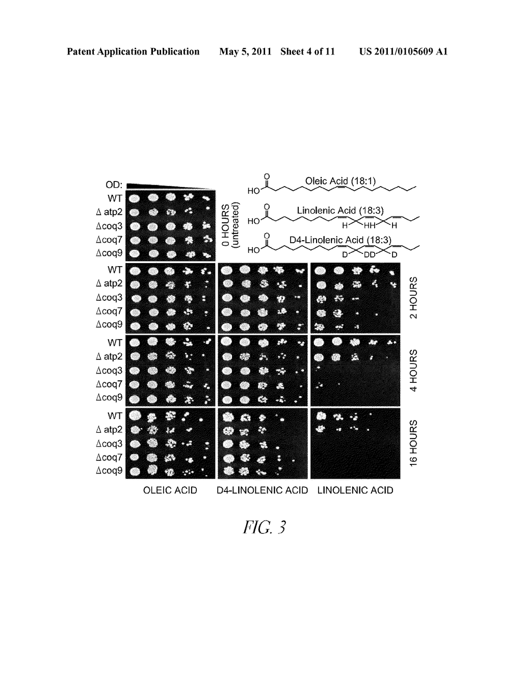 ALLEVIATING OXIDATIVE STRESS DISORDERS WITH PUFA DERIVATIVES - diagram, schematic, and image 05