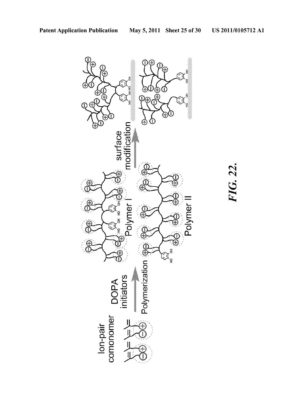 ZWITTERIONIC POLYMERS HAVING BIOMIMETIC ADHESIVE LINKAGES - diagram, schematic, and image 26