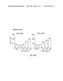 Method of Detecting Malignancy of Nasopharyngeal Carcinoma and A Nasopharyngeal Carcinoma Malignancy Biomarker diagram and image