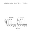 Method of Detecting Malignancy of Nasopharyngeal Carcinoma and A Nasopharyngeal Carcinoma Malignancy Biomarker diagram and image