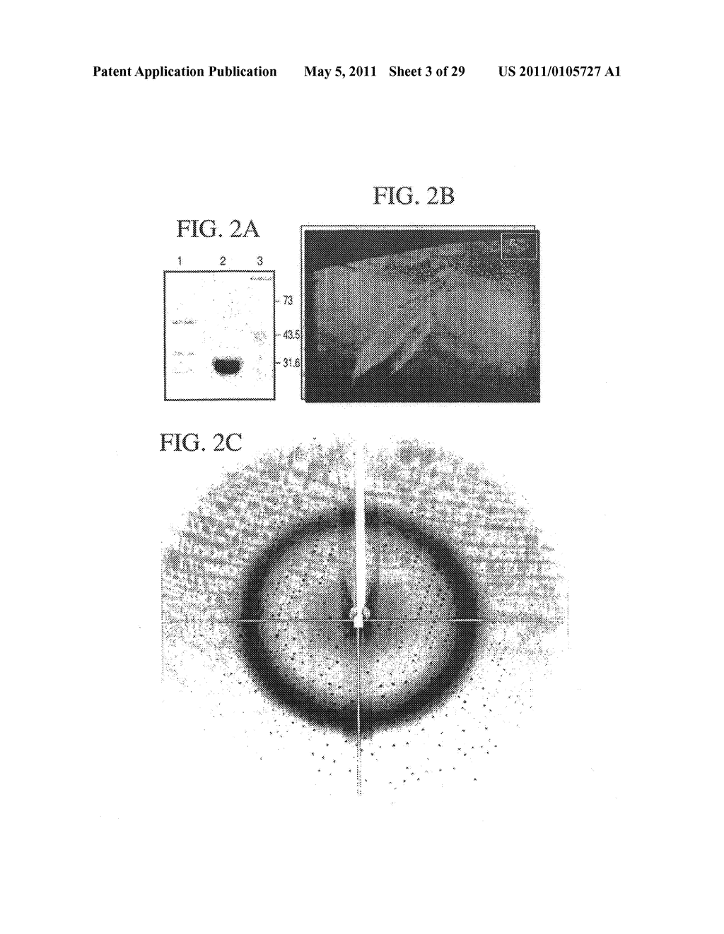 Method for the humanization of antibodies and humanized antibodies thereby obtained - diagram, schematic, and image 04