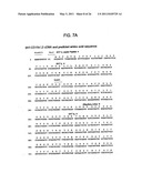 BINDING DOMAIN-IMMUNOGLOBULIN FUSION PROTEINS diagram and image