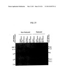 BINDING DOMAIN-IMMUNOGLOBULIN FUSION PROTEINS diagram and image