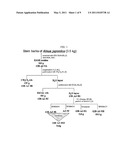 DIARYL HEPATONOID-BASED COMPOUNDS USEFUL AS VIRUS INHIBITORS diagram and image