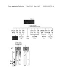 DIARYL HEPATONOID-BASED COMPOUNDS USEFUL AS VIRUS INHIBITORS diagram and image