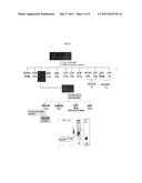 DIARYL HEPATONOID-BASED COMPOUNDS USEFUL AS VIRUS INHIBITORS diagram and image