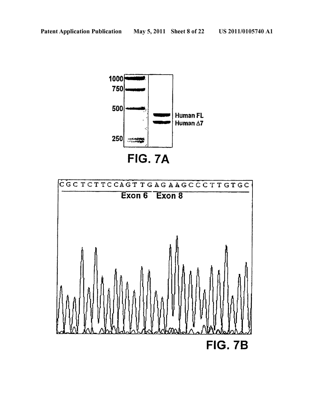 SOLUBLE TNF RECEPTORS AND THEIR USE IN TREATMENT OF DISEASE - diagram, schematic, and image 09