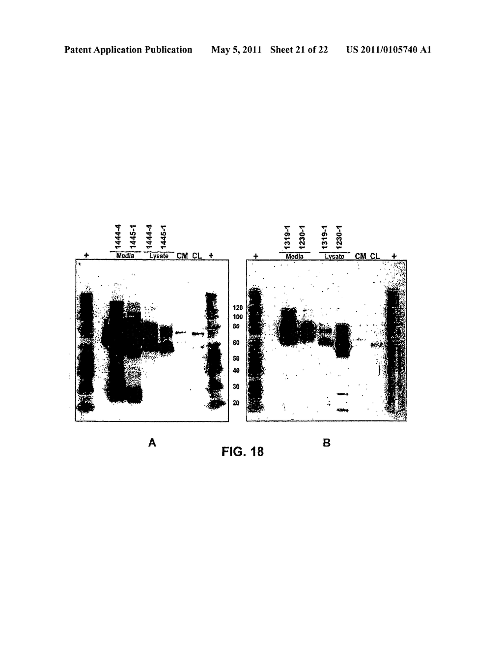 SOLUBLE TNF RECEPTORS AND THEIR USE IN TREATMENT OF DISEASE - diagram, schematic, and image 22