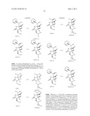 TOTAL SYNTHESIS OF SALINOSPORAMIDE A AND ANALOGS THEREOF diagram and image