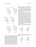 TOTAL SYNTHESIS OF SALINOSPORAMIDE A AND ANALOGS THEREOF diagram and image