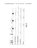 DIFFUSION-BASED MAGNETIC RESONANCE METHODS FOR CHARACTERIZING BONE STRUCTURE diagram and image