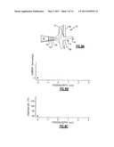 THERMOMETER FOR DETERMINING THE TEMPERATURE OF AN ANIMAL S EAR DRUM AND METHOD OF USING THE SAME diagram and image