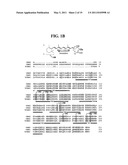 SYSTEMS, METHODS AND COMPOSITIONS FOR OPTICAL STIMULATION OF TARGET CELLS diagram and image