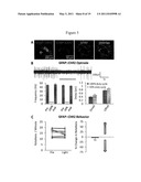 SYSTEMS, METHODS AND COMPOSITIONS FOR OPTICAL STIMULATION OF TARGET CELLS diagram and image