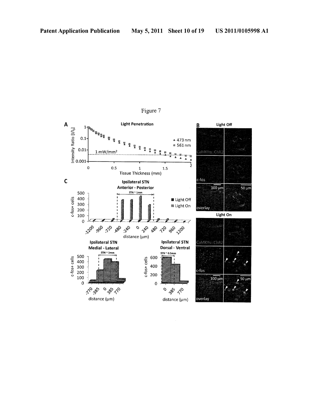 SYSTEMS, METHODS AND COMPOSITIONS FOR OPTICAL STIMULATION OF TARGET CELLS - diagram, schematic, and image 11