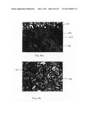 Low-Corrosion Electrode for Treating Tissue diagram and image