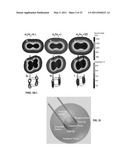 TREATMENT PLANNING FOR ELECTROPORATION-BASED THERAPIES diagram and image