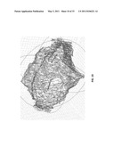 TREATMENT PLANNING FOR ELECTROPORATION-BASED THERAPIES diagram and image