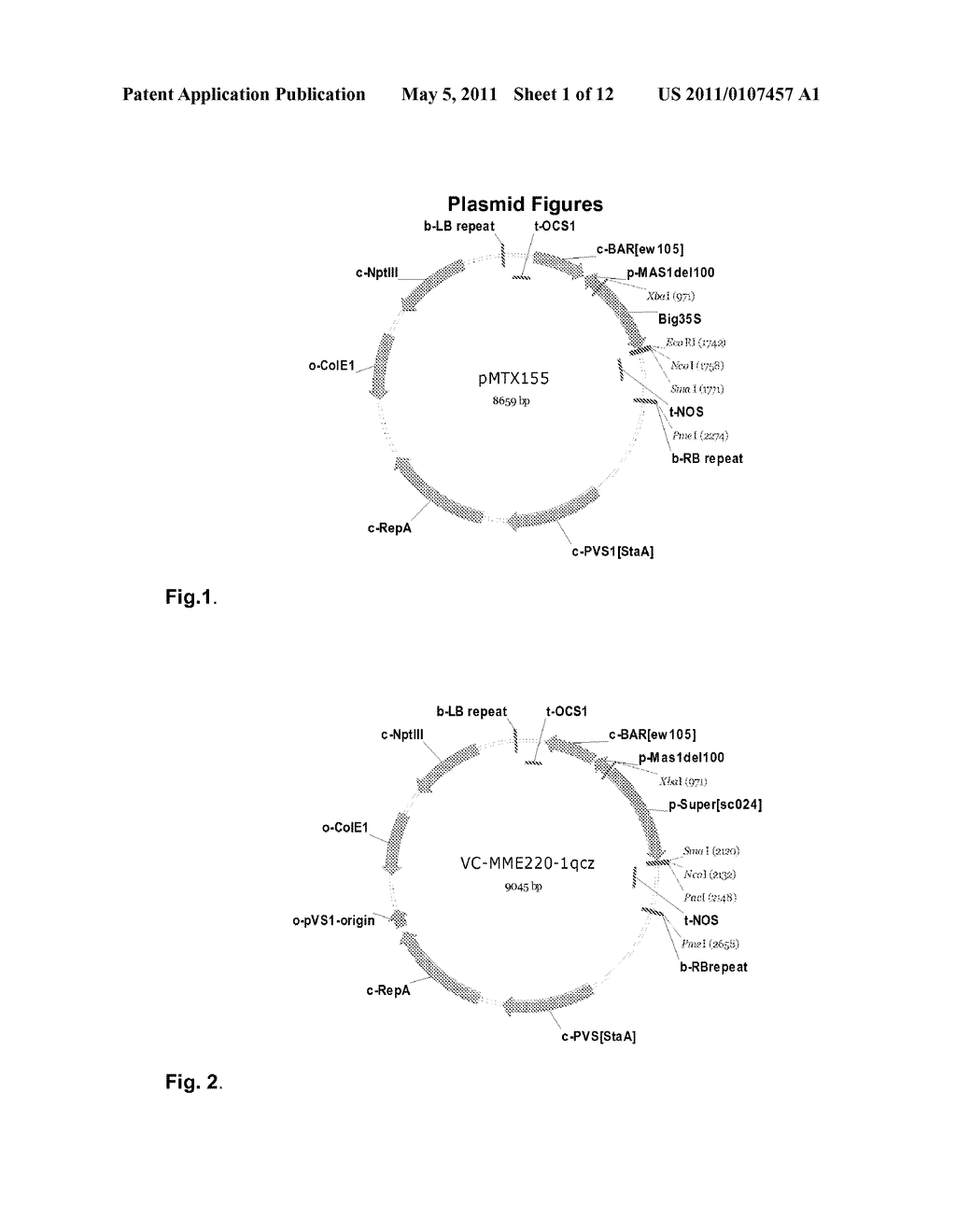 METHOD FOR PRODUCING A TRANSGENIC PLANT CELL, A PLANT OR A PART THEREOF WITH INCREASED RESISTANCE TO PLANT DISEASE - diagram, schematic, and image 02