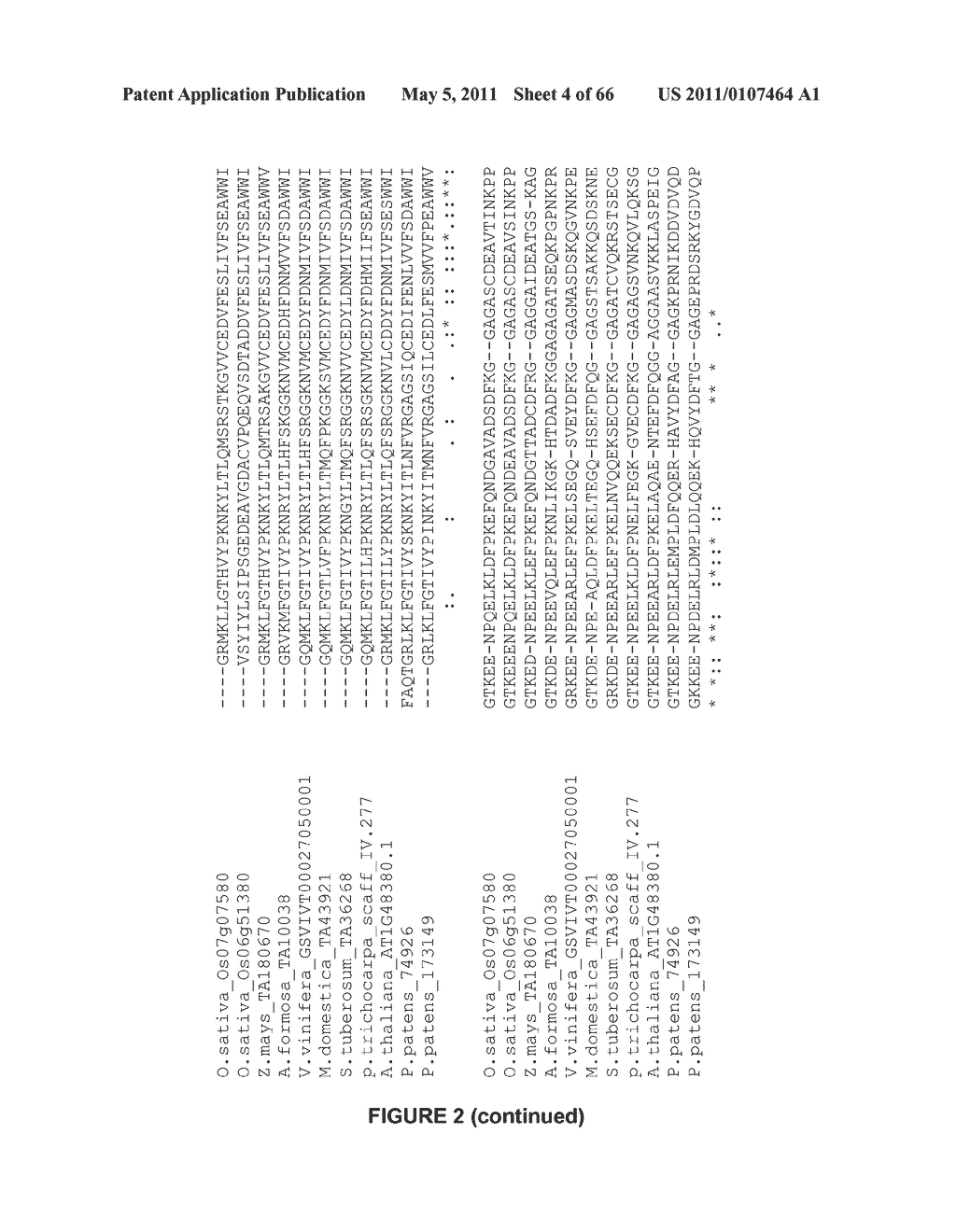 Plants Having Enhanced Yield-Related Traits and a Method for Making the Same - diagram, schematic, and image 05