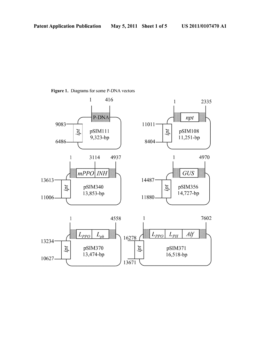 PRECISE BREEDING - LOW ACRYLAMIDE FOODS - diagram, schematic, and image 02