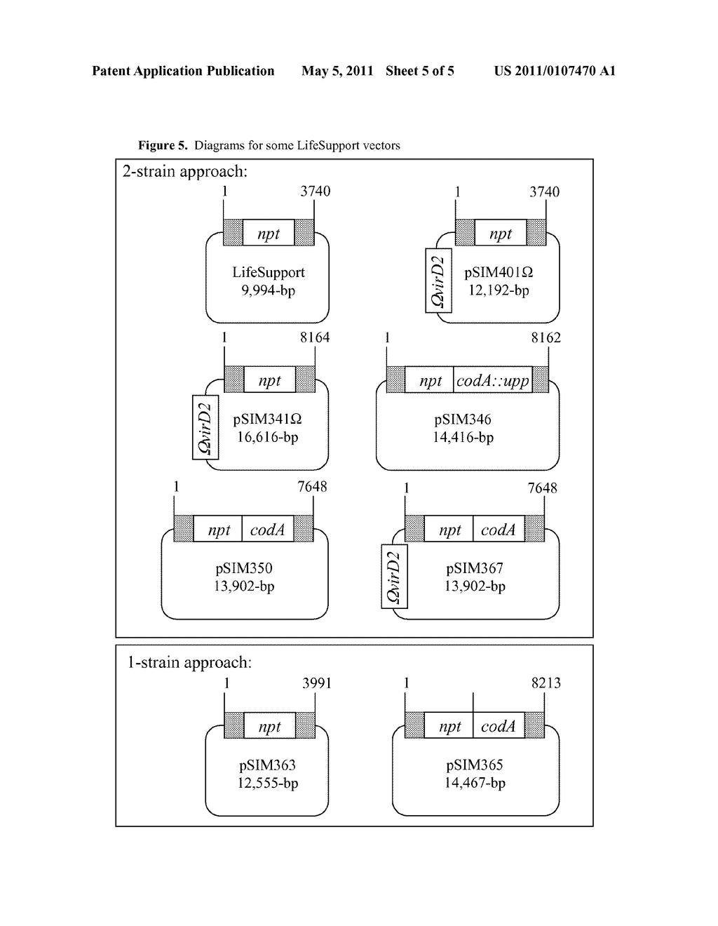 PRECISE BREEDING - LOW ACRYLAMIDE FOODS - diagram, schematic, and image 06