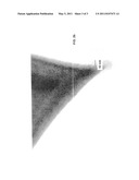 DIAMOND-LIKE CARBON COATED NANOPROBES diagram and image