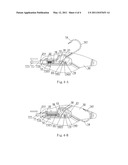 Hidden Fishhook Structure Having a Fish Shape diagram and image