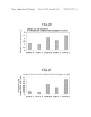 EXHAUST GAS PURIFICATION CATALYST AND EXHAUST GAS PURIFICATION APPARATUS USING THE EXHAUST GAS PURIFICATION CATALYST diagram and image