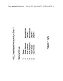 DIGITAL CAMERA WITH MULTIPLE PIPELINE SIGNAL PROCESSORS diagram and image