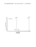 Apparatus, System and Method for Purifying Nucleic Acids diagram and image