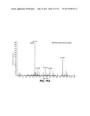 Apparatus, System and Method for Purifying Nucleic Acids diagram and image