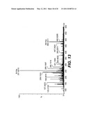 Apparatus, System and Method for Purifying Nucleic Acids diagram and image