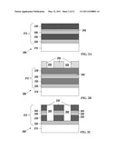 VERTICAL NANOWIRE FET DEVICES diagram and image